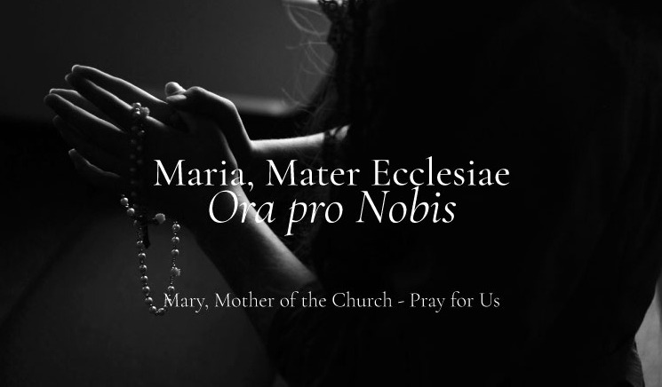 Month of the Holy Rosary 